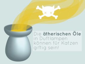 Katzentipps mit dem Fokus auf Tierschutz und Information.