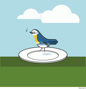 Katzentipps mit dem Fokus auf Tierschutz und Information.