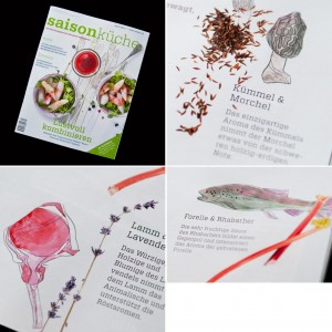 Illustrationen für das Magazin Saisonküche